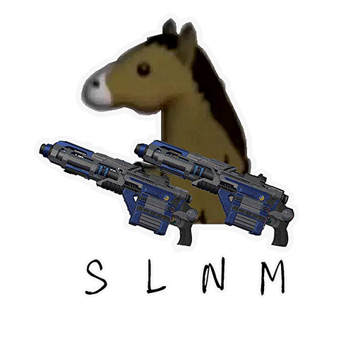 SLNM